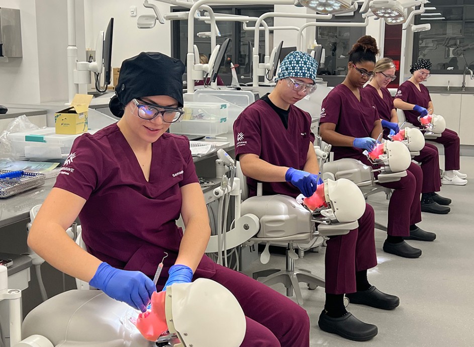 Diploma In Dental Hygienist